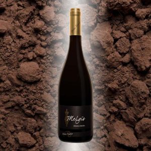 Vin rosu Petro Vaselo Melgis la sticla de 0.75L, la cel mai bun pret, disponibil cu livrare imediata in Sibiu si in toata Romania